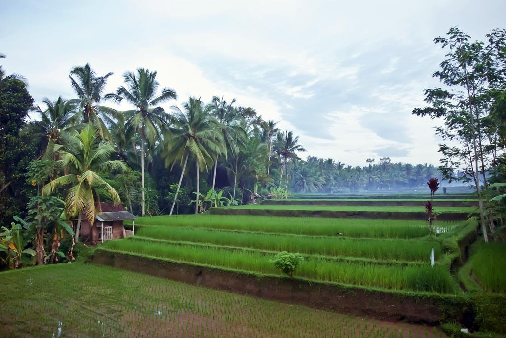 Junjungan Ubud Hotel&Spa Eksteriør billede