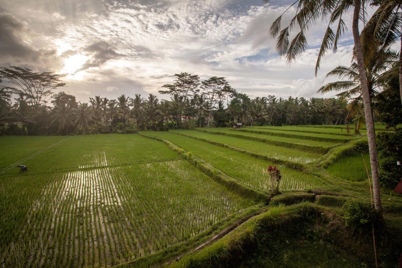 Junjungan Ubud Hotel&Spa Eksteriør billede